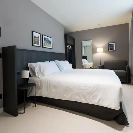 Stelvio ホテル 4*